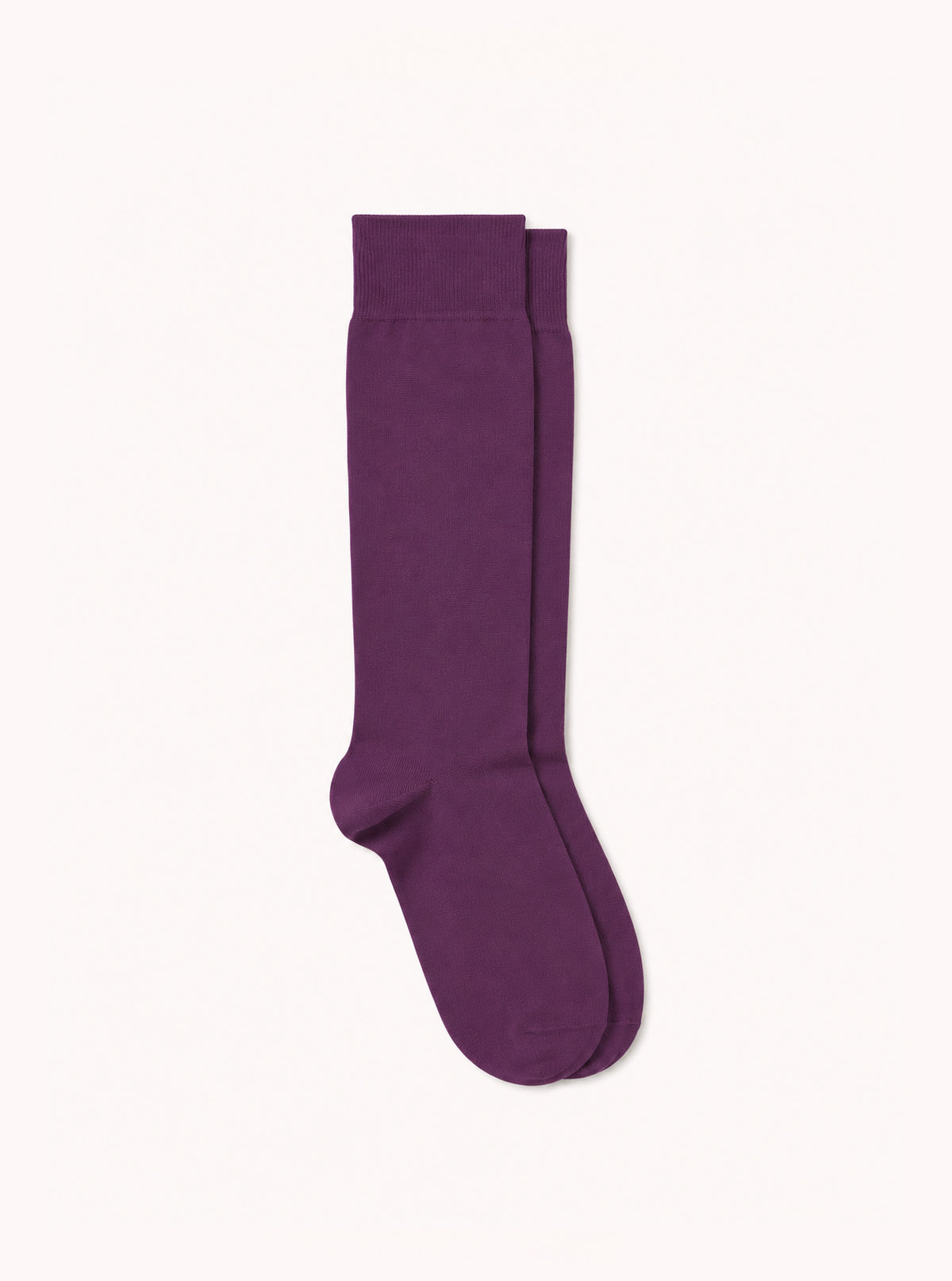 Nutritive Q10 Socks in Solid Plum Purple