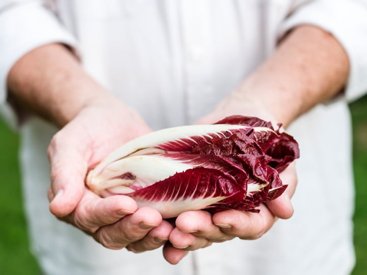 Proprietà e benefici del radicchio