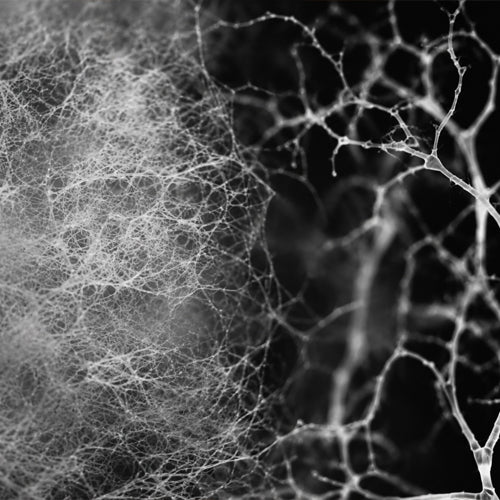 01 - Eine Textiltechnologie, die im Einklang mit dem Körper arbeitet.