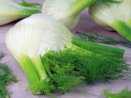 Properties and benefits of Fennel